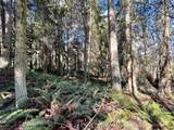 9999 Sequim Ave Parcel B - Photo 8