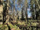 9999 Sequim Ave Parcel B - Photo 10