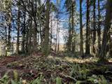 9999 Sequim Ave Parcel C - Photo 7