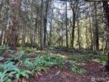 9999 Sequim Ave Parcel C - Photo 10