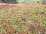 754 Cousins Road - Photo 12