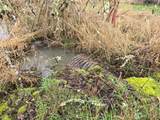 754 Cousins Road - Photo 20