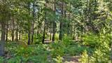 131 Goat Creek Lane - Photo 12