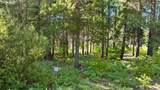 131 Goat Creek Lane - Photo 5