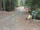 17680 Hallman Road - Photo 11
