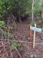 17680 Hallman Road - Photo 13
