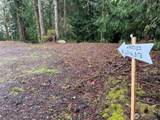17680 Hallman Road - Photo 19