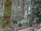 17680 Hallman Road - Photo 3