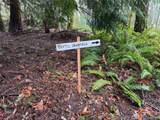 17680 Hallman Road - Photo 22