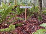 17680 Hallman Road - Photo 23