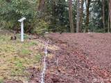 17680 Hallman Road - Photo 5