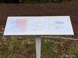 17680 Hallman Road - Photo 7