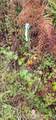0 Twanoh Heights Road - Photo 27