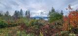 0 Twanoh Heights Road - Photo 4