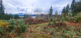 0 Twanoh Heights Road - Photo 7