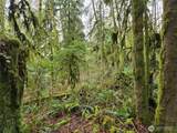 185 xx 123rd (Northern Lot) Avenue - Photo 24