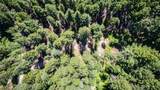 16757 Second Creek Road - Photo 18