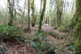 6509 Sid Price Road - Photo 11