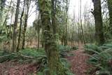 6509 Sid Price Road - Photo 13