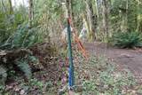 6509 Sid Price Road - Photo 15