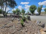19 Thoroughbred Drive - Photo 12