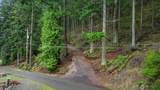 3071 Hales Passage Drive - Photo 3