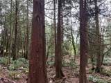 11408 62nd Avenue - Photo 16