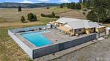 31 Loel Place - Photo 33