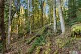 0 Talmo Drive - Photo 11