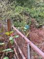 156 Whitney Road - Photo 12