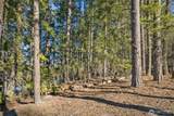 7 Tumble Creek Drive - Photo 9
