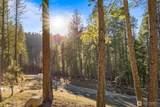 7 Tumble Creek Drive - Photo 10