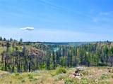 0 TBD Madd Mtn Road - Photo 1