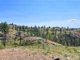 0 TBD Madd Mtn Road - Photo 3