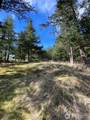 9 Tomihi Drive - Photo 21