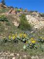 0 NNA Soap Lake Road - Photo 15