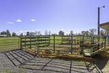 4371 Dunn Street - Photo 30