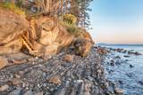 285 Raptor Road - Photo 5