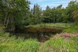 4256 Curtis Road - Photo 11