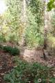 538 241st Lane - Photo 6