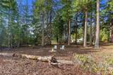 34262 Pilot Point Road - Photo 5