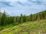 0 Wolf Creek Road - Photo 2