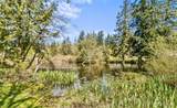 1579 Silver Fir Drive - Photo 35