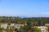 6404 181st Street - Photo 36