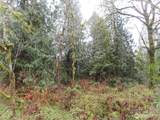 235 Anchor Road - Photo 6