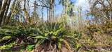 285 Justus Rd - Photo 12