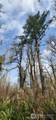 285 Justus Rd - Photo 17