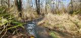 285 Justus Rd - Photo 20