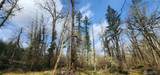 285 Justus Rd - Photo 3