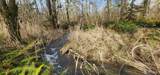 285 Justus Rd - Photo 10